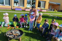 IMG_20240430_085237