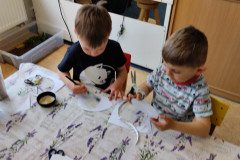 IMG_20250415_075243