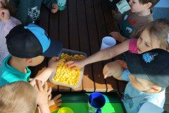 IMG_20250416_101720