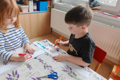 IMG_20250603_084416