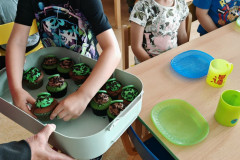 IMG_20250605_092753