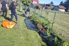 IMG-20250430-WA0015