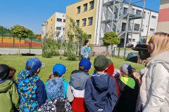 IMG_20250507_100216
