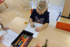 IMG_20231207_084231
