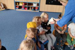 IMG_20231116_093234