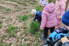 IMG_20240405_101923