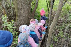IMG_20240405_102540