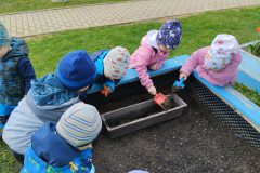 IMG_20240405_105008