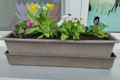IMG_20240405_105722