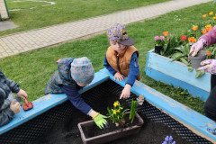 IMG_20240405_110134