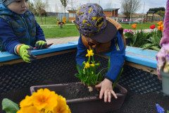 IMG_20240405_110141