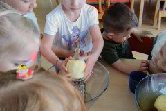 IMG_20240409_093700