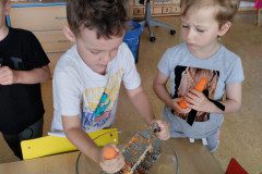IMG_20240409_094444