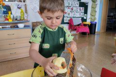 IMG_20240409_095216