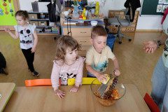 IMG_20240409_095437