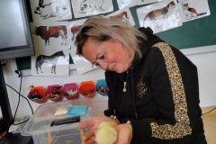 IMG_20240411_100715