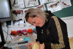 IMG_20240411_100716