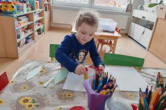IMG_20250325_074557