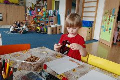 IMG_20250325_075827