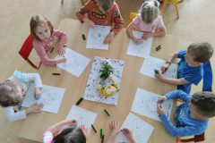 IMG_20240424_093251