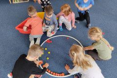 IMG_20240425_095011