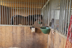 IMG-20250602-WA0033