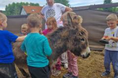 IMG-20250602-WA0067