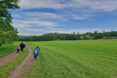 IMG-20250602-WA0092