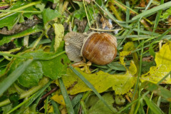 IMG-20250602-WA0112