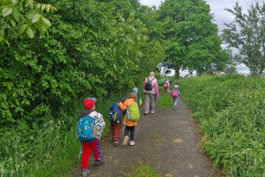 IMG-20250602-WA0117