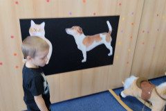 IMG_20250331_094420