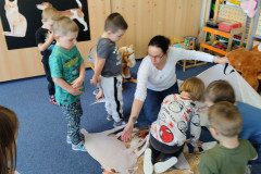 IMG_20250331_094438