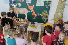 IMG_20250407_090134