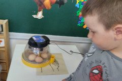 IMG_20250407_090145