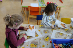 IMG_20250408_083252