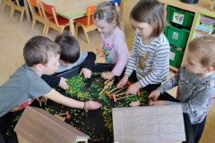 IMG_20250408_094911