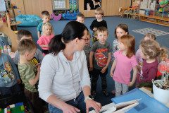 IMG_20250408_100528