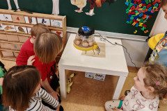 IMG_20250409_073205