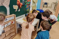IMG_20250409_075732