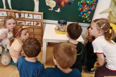 IMG_20250409_075740