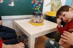 IMG_20250409_093411