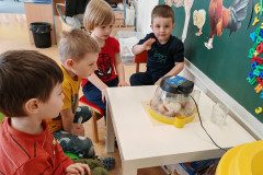 IMG_20250409_093419