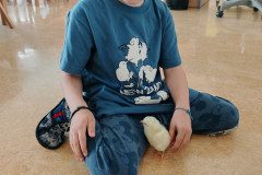 IMG_20250410_074403