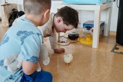 IMG_20250410_074919