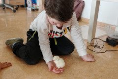 IMG_20250410_075009