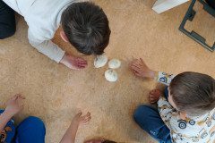IMG_20250410_075202