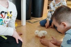 IMG_20250410_075226