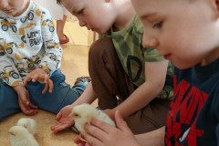 IMG_20250410_075331