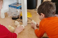 IMG_20250410_090300