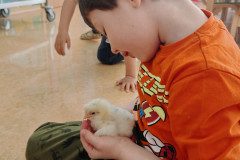 IMG_20250410_090304
